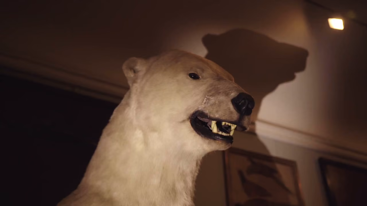 Un ours blanc naturalisé, éclairé dans la pénombre