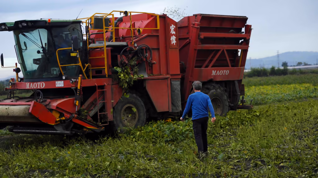 Homme marchant devant une récolteuse agricole rouge Maoto dans un champ à Taïwan