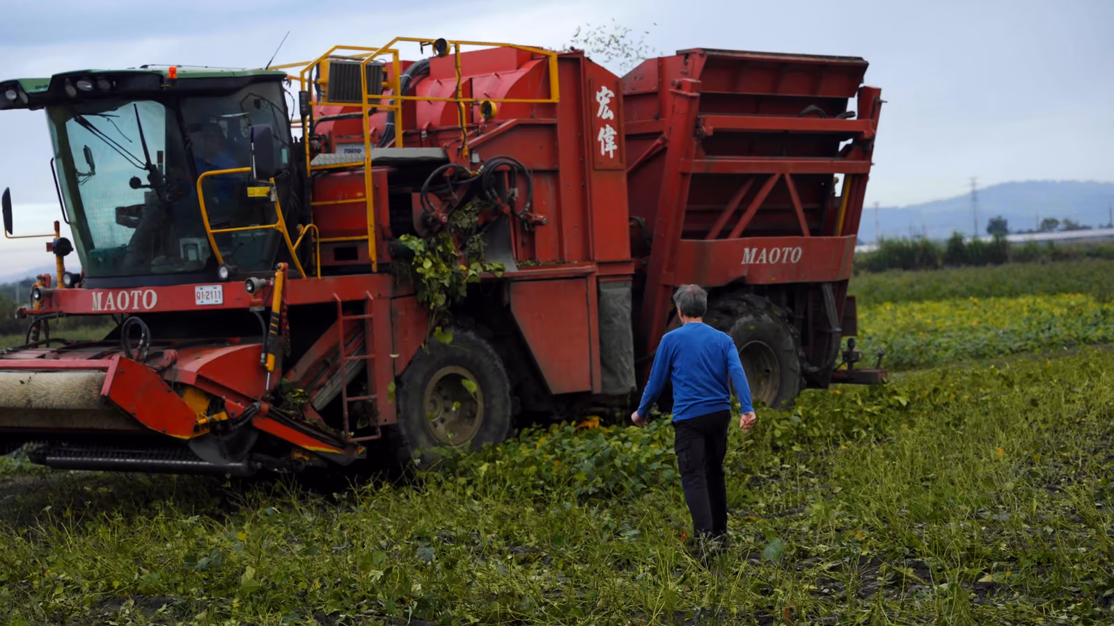 Homme marchant devant une récolteuse agricole rouge Maoto dans un champ à Taïwan