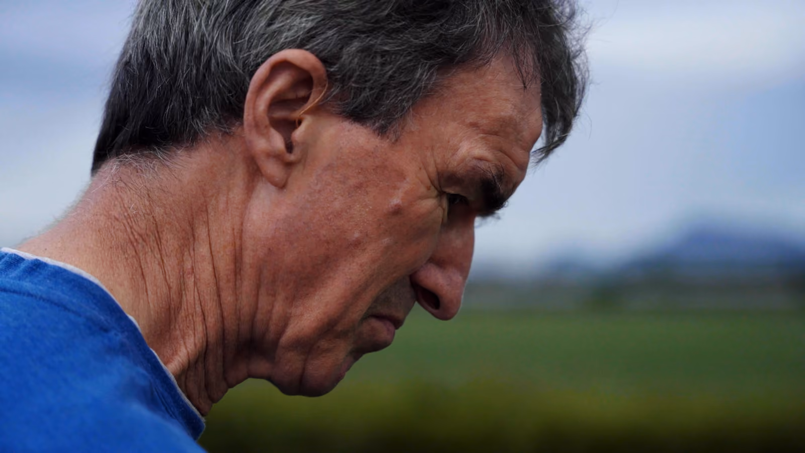 Profil d'un homme aux cheveux gris dans un champ, documentaire Maoto sur l'agriculture à Taïwan